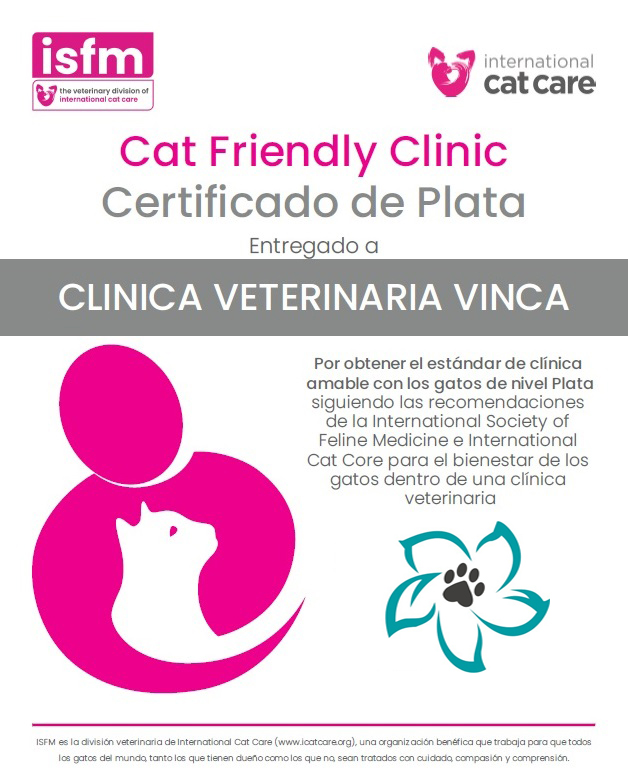 Placa ISFM