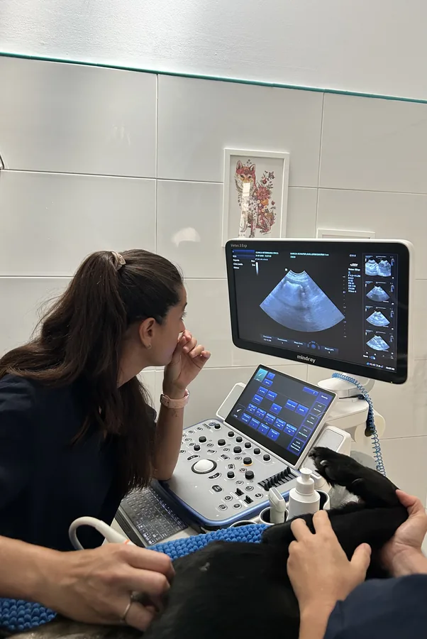 Ecografía y Diagnóstico por Imagen