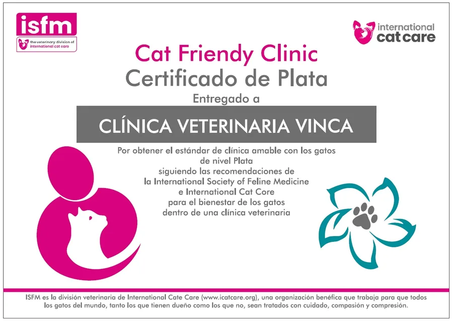 Especialistas en Medicina Felina