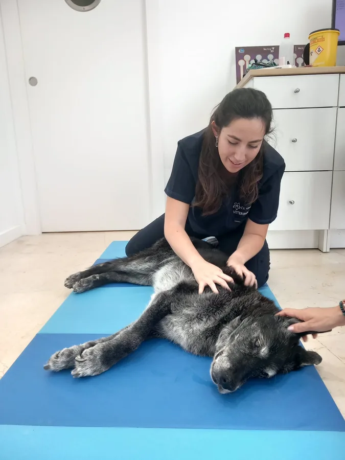 Fisioterapia y Rehabilitación